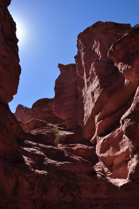 Paisagem rochosa e avermelhada do Parque Nacional Talampaya, na Argentina